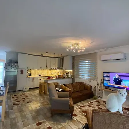 Sadece Size Ozel Ciftlik Evi Muğla