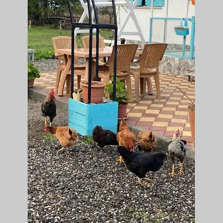 Sadece Size Ozel Ciftlik Evi 빌라 무글라