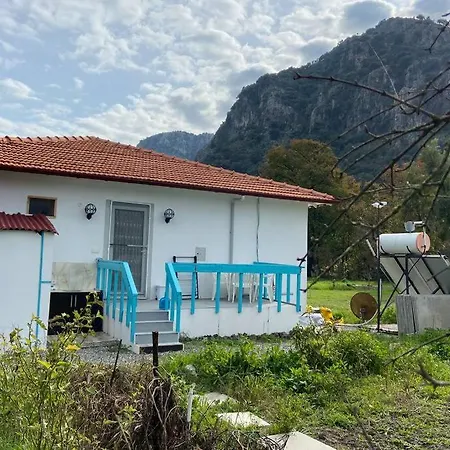 Sadece Size Ozel Ciftlik Evi Villa *